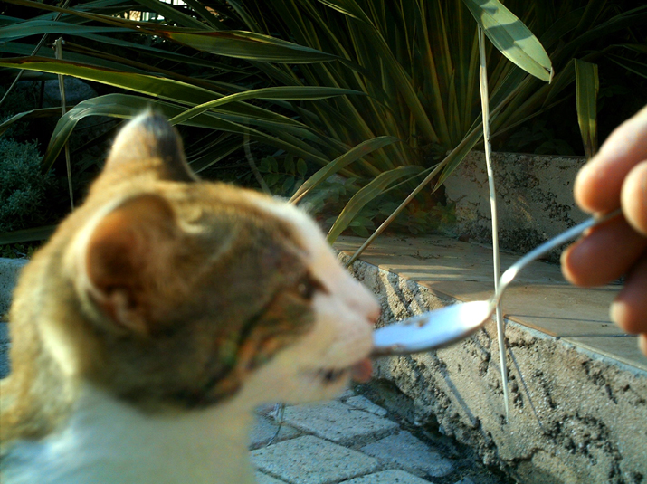 Caramel 09-04 007.jpg